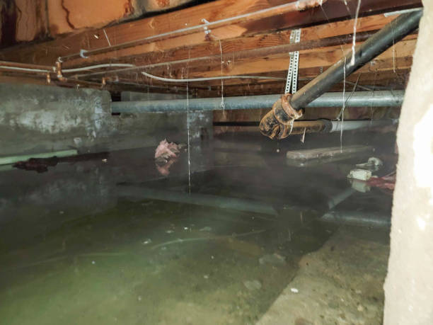 Best Water damage contractors near me  in Waldorf, MD