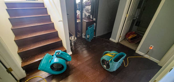 Best Basement water damage restoration  in Waldorf, MD