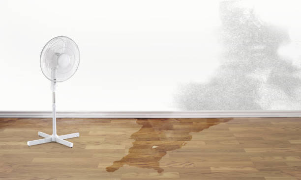 Best Local water damage restoration  in Waldorf, MD