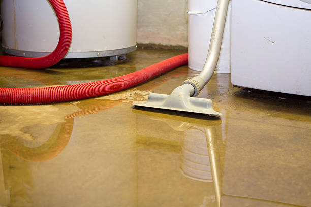  Waldorf, MD Water damage restoration Pros