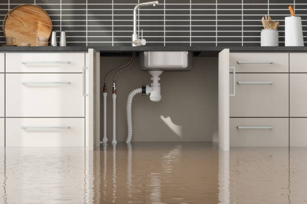 Best Water damage cleanup near me  in Waldorf, MD