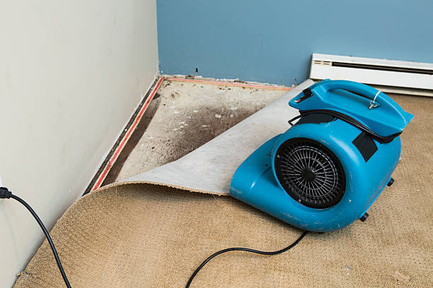 Reliable Waldorf, MD Water damage restoration Solutions