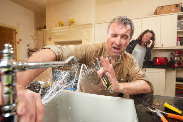 Best Flood damage cleanup  in Waldorf, MD